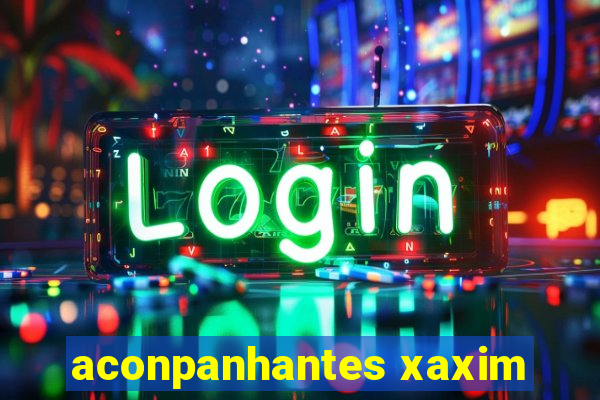 aconpanhantes xaxim